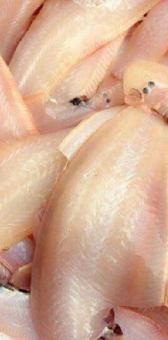 Cá Lưỡi trâu
