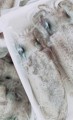 Xuất khẩu mực, bạch tuộc tăng 20%