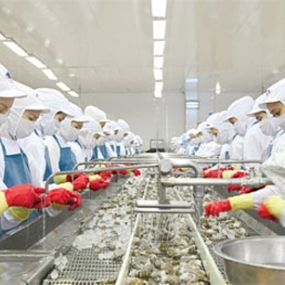 Xưởng chế biến 