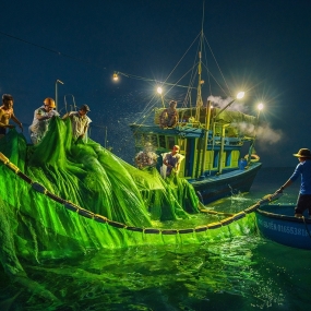 Ngư dân đánh bắt cá