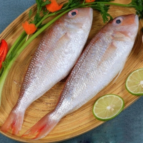 Cá Đổng Sộp 