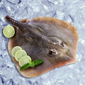 Cá đuối 