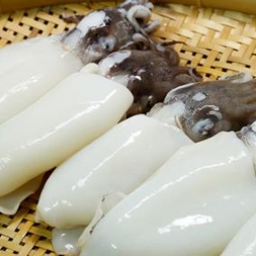 Mực nang sữa