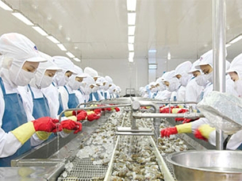 Năng lực sản xuất 